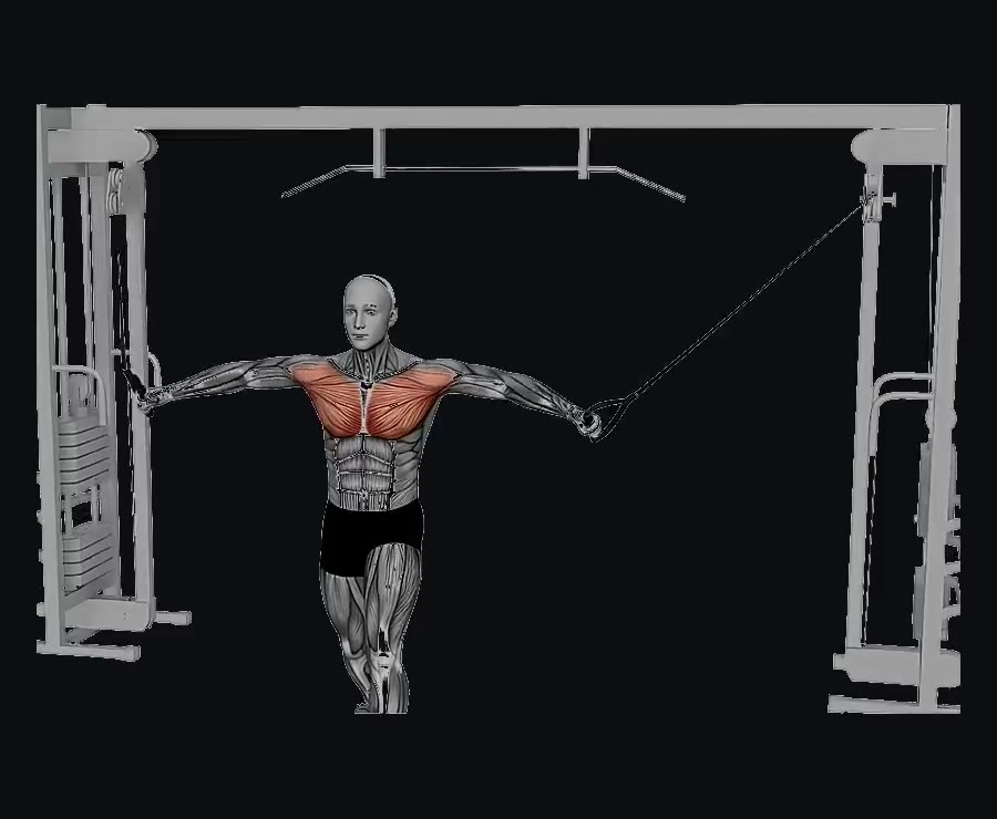 Cruce de poleas (cable crossover) — demostración