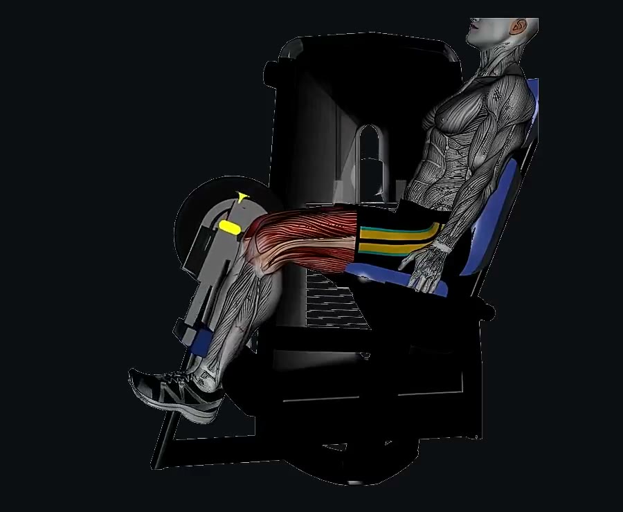 Curl femoral sentado en máquina — demostración