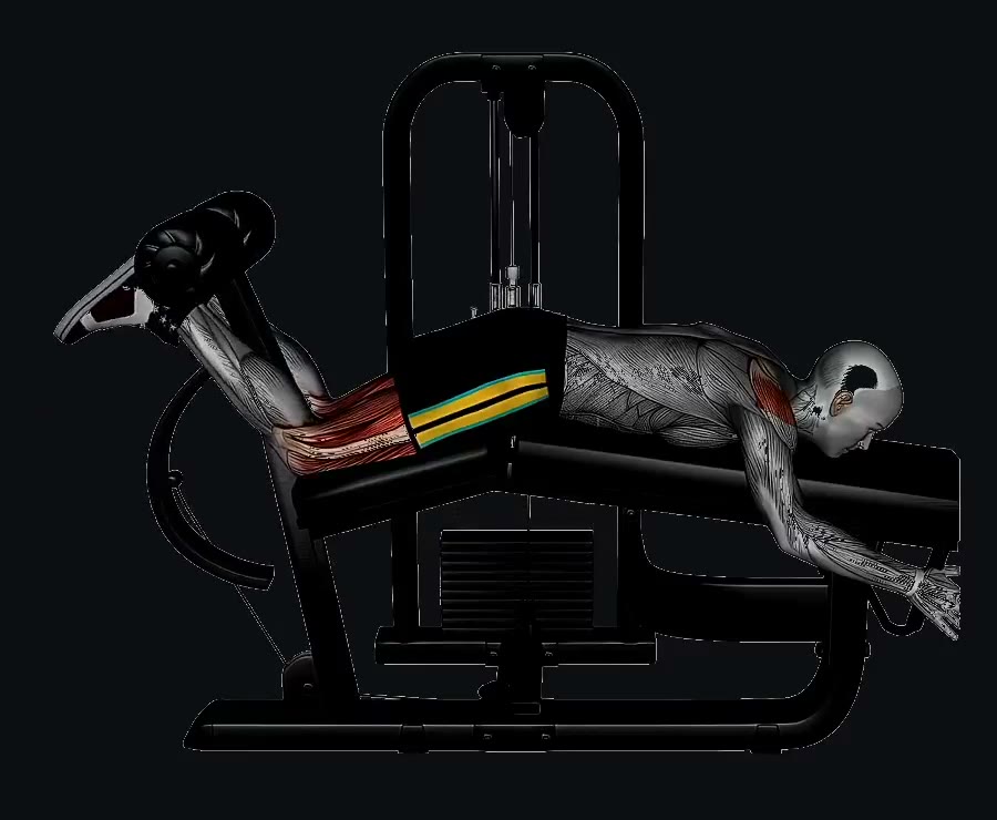 Curl femoral en máquina — demostración