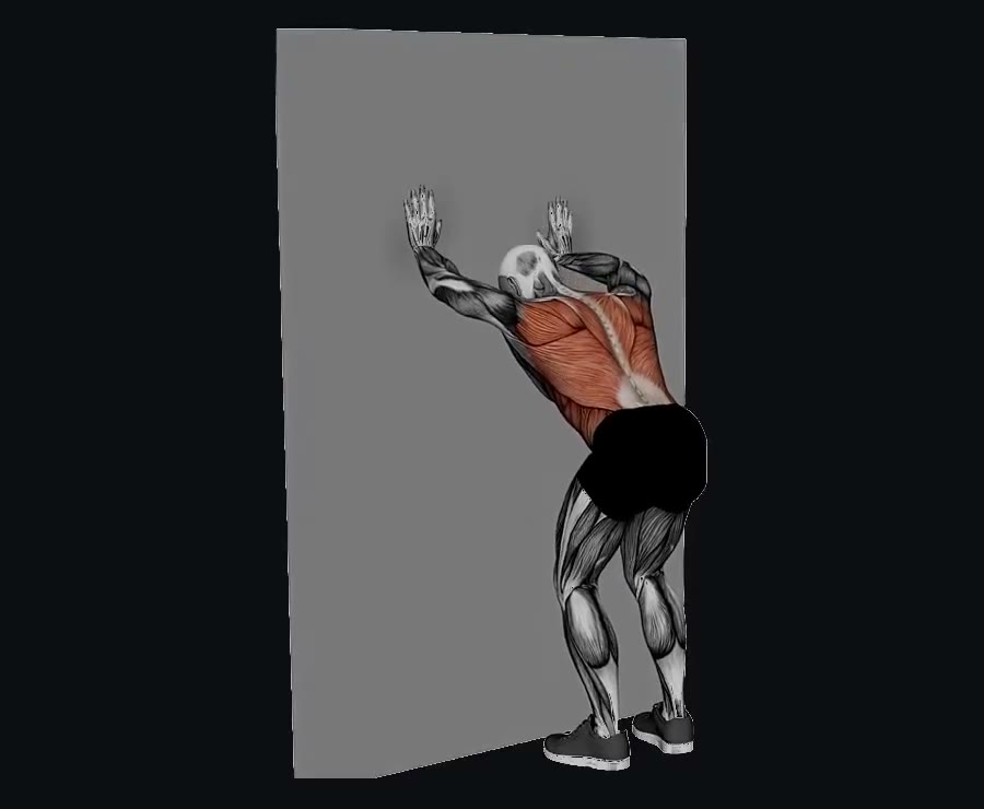 Estiramiento de dorsal en pared — demostración