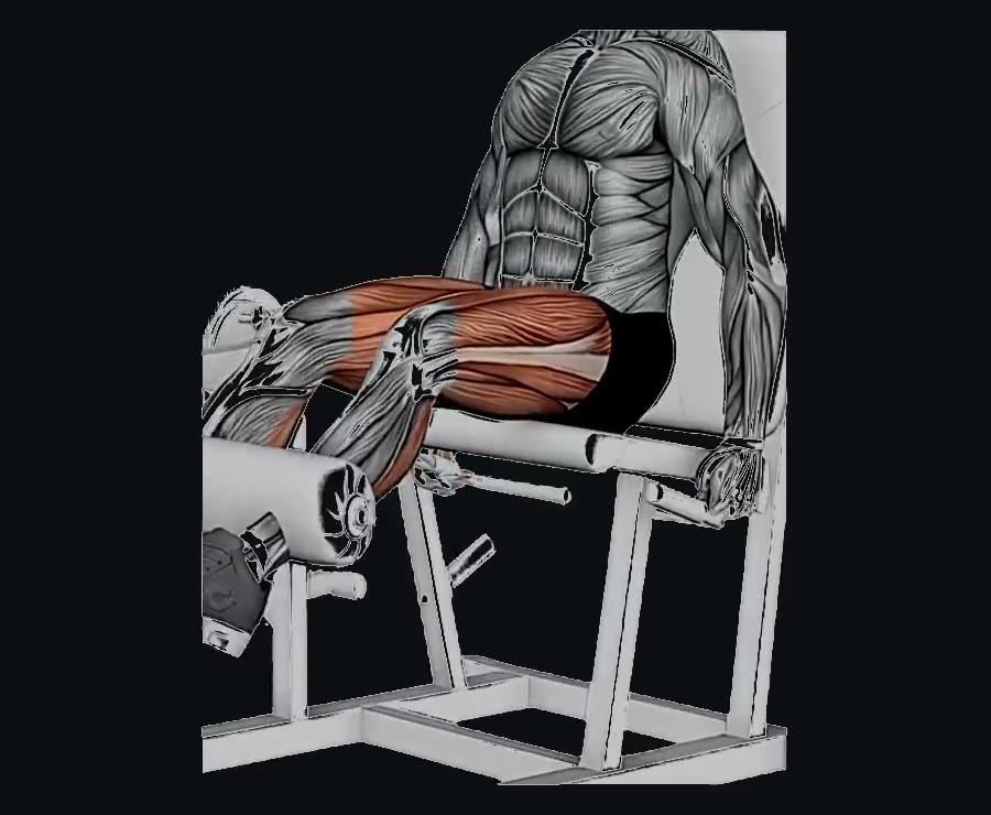 Extensión de rodilla en máquina — demostración