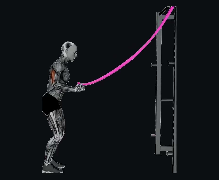 Extensión de tríceps con banda (pushdown) — demostración