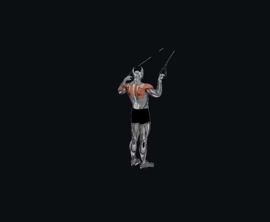 Face pull en suspensión (TRX) — demostración