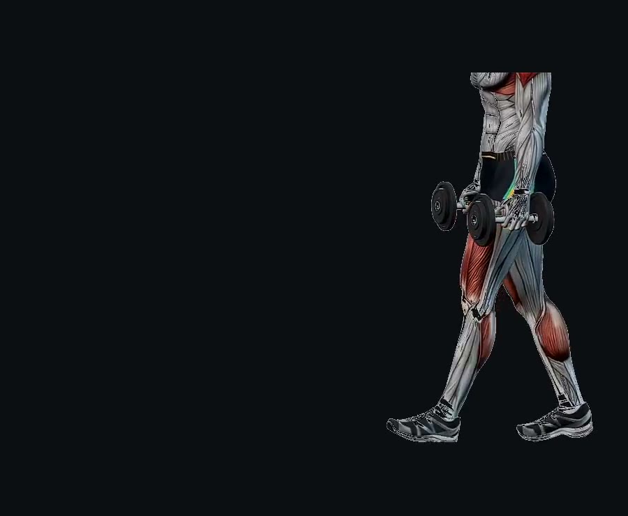 Caminata del granjero (farmer carry) — demostración