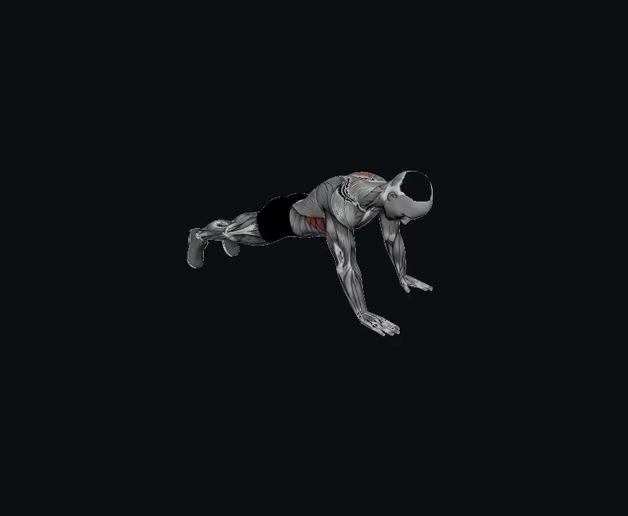Flexión escapular (scapular push-up) — demostración
