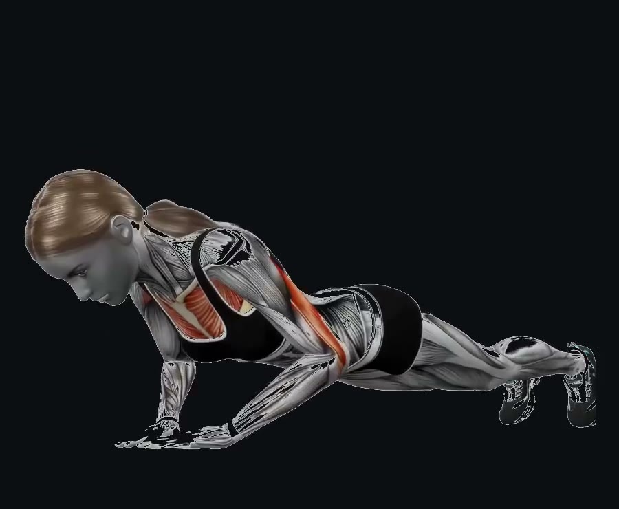 Flexiones diamante (manos juntas) — demostración