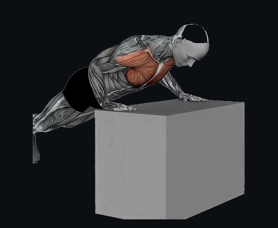 Flexiones inclinadas (manos elevadas) — demostración