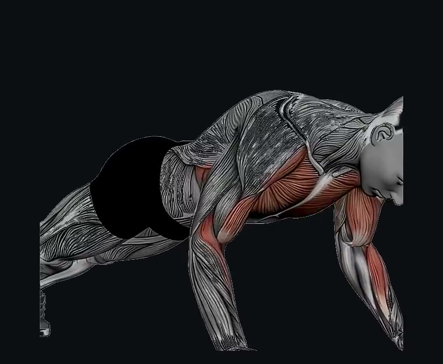 Flexiones con palmada (pliométricas) — demostración