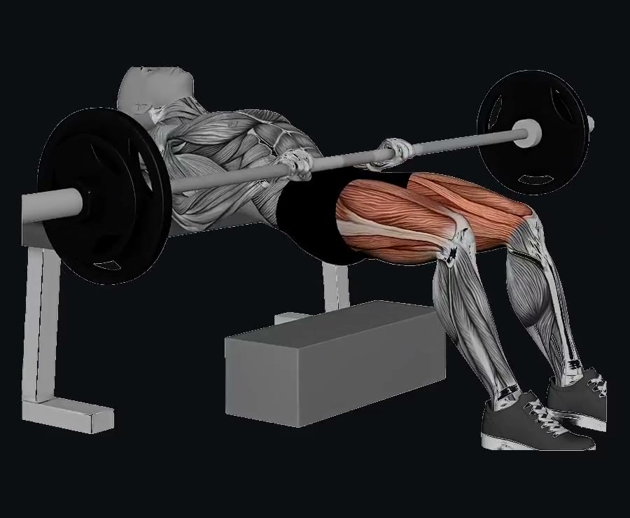 Hip thrust (empuje de cadera con barra) — demostración