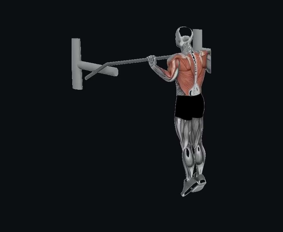 Muscle-up en barra — demostración