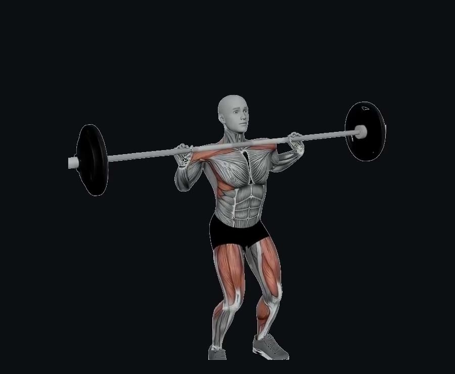 Push jerk (envión de potencia) — demostración