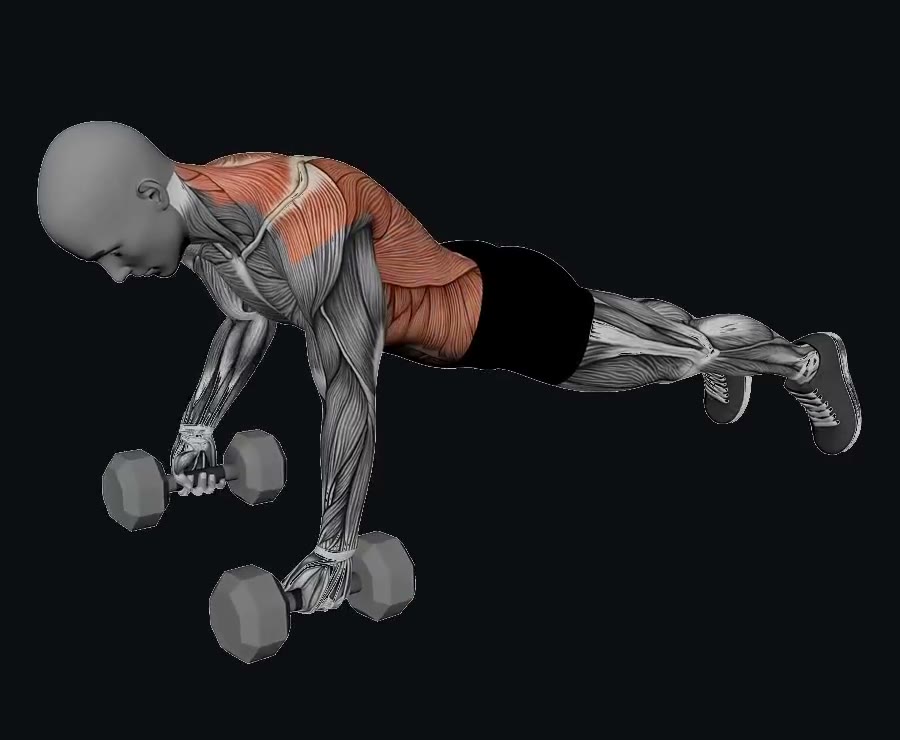 Remo en plancha con mancuernas (renegade row) — demostración