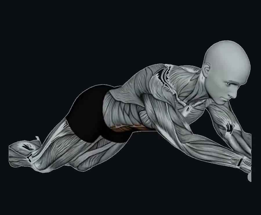 Rueda abdominal (ab wheel) — demostración