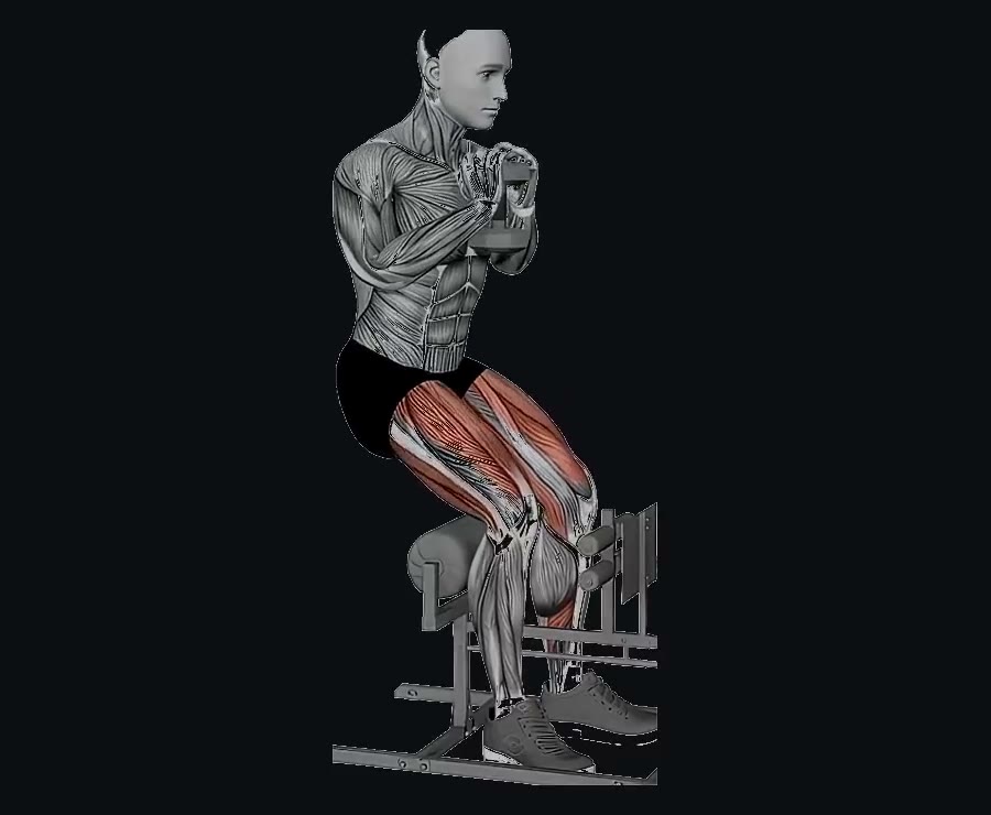 Sissy squat (con apoyo) — demostración